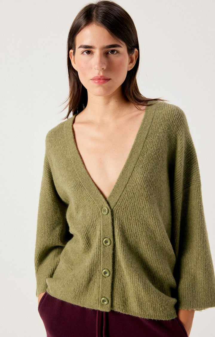American Vintage Melange Lizard Damsville V-Neck Cardigan - Kalifornia Jean Bar